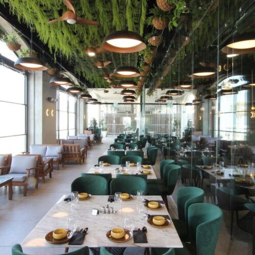 WhatsApp Image 2024-01-16 at 5.41.39 PM (1)