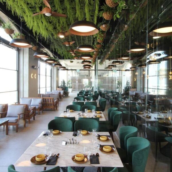 WhatsApp Image 2024-01-16 at 5.41.39 PM (1)