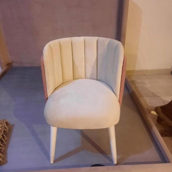 WhatsApp Image 2024-01-16 at 5.41.49 PM