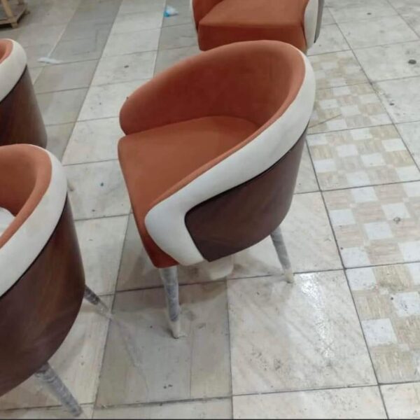 WhatsApp Image 2024-01-16 at 5.44.23 PM